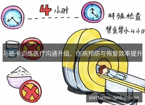 马略卡训练医疗沟通升级，伤病预防与恢复效率提升